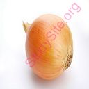 onion (Oops! image not found)